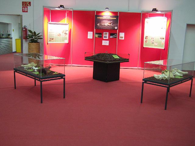 VIVARIUM Krokodil Artenschutz-Ausstellung2.JPG